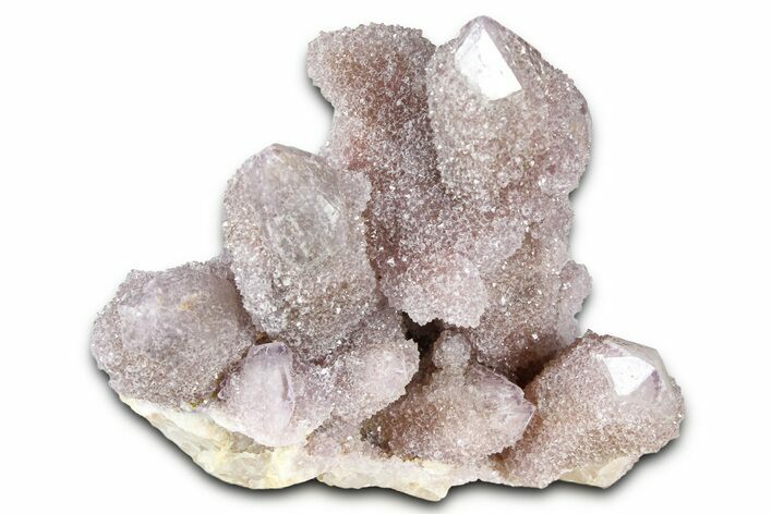Sparkling Druzy Cactus Amethyst Crystal Cluster - South Africa #364629